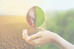 Impacto ambiental y sostenibilidad