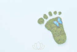 Sostenibilidad Ambiental