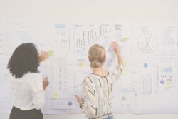 Diseña el Éxito de tu Empresa: Elaboración del Plan de Viabilidad