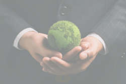 Sistema de Gestión Medioambiental: ISO 14001