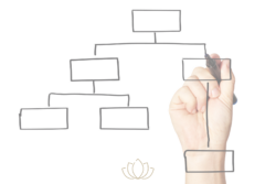Planificación y Organización
