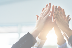 Habilidades Sociales: Comunicación, Inteligencia Emocional y Trabajo en Equipo